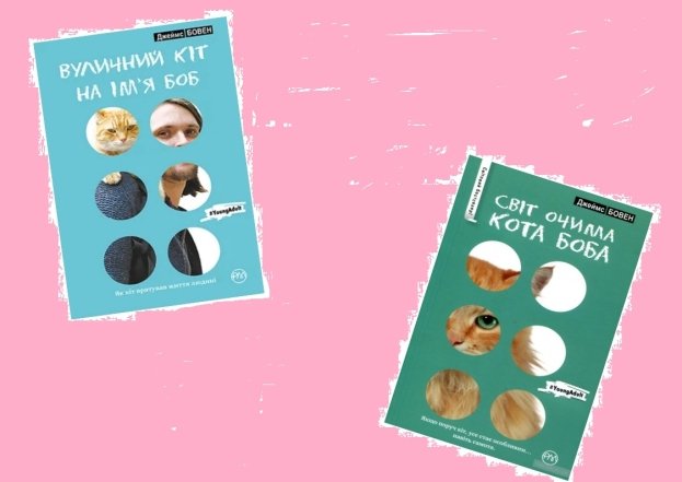 О чем книга "Мир глазами кота Боба" Джеймс Бовен