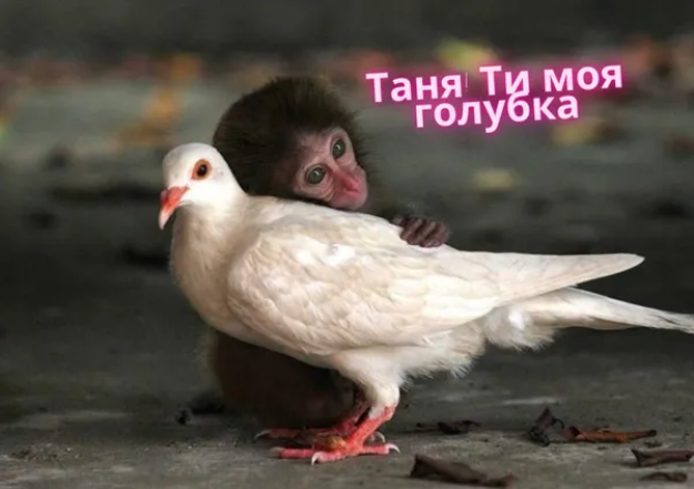 Не забудьте привітати знайомих Тань