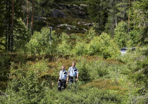 Любовь победит все! Скандинавская пара поженилась на границе Норвегии и Швеции из-за COVID-19 - фото №4
