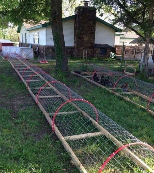 Как ухаживать за курицей дома