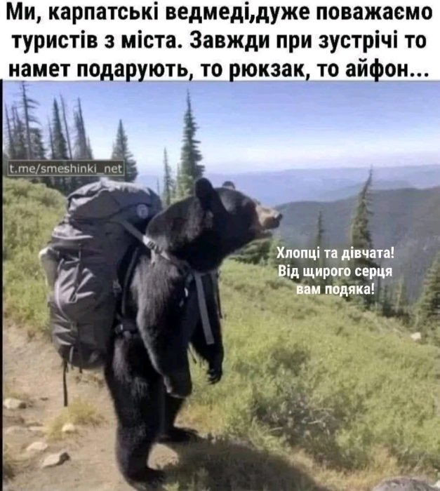 Невозможно сдержать смех, глядя на эти мемы о туристах.