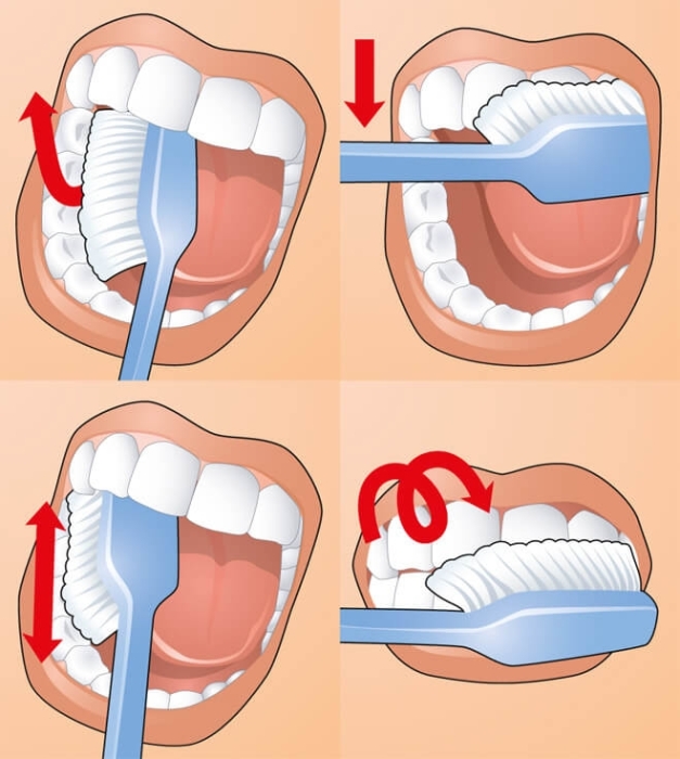 Как правильно чистить зубы: учимся ухаживать за ротовой полостью - фото №1