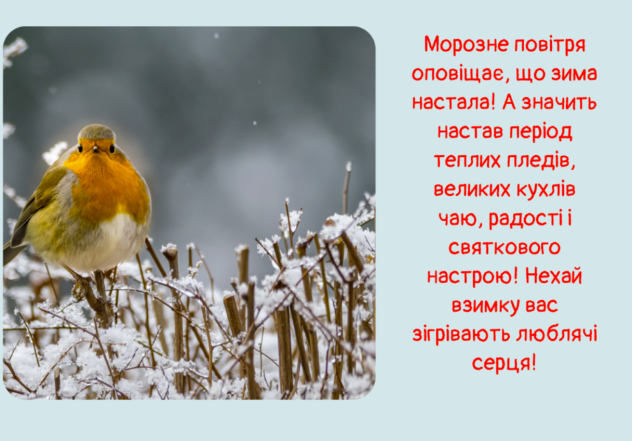 Зима прийшла! Щирі привітання й "затишні" картинки для гарного настрою - фото №9