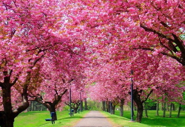 Куди поїхати навесні 2026 в Україні