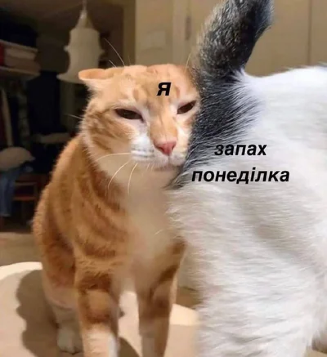 Шутки о последнем дне недели