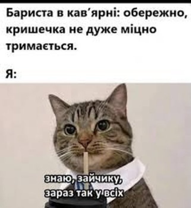 Свіжий гумор у картинках для гарного настрою