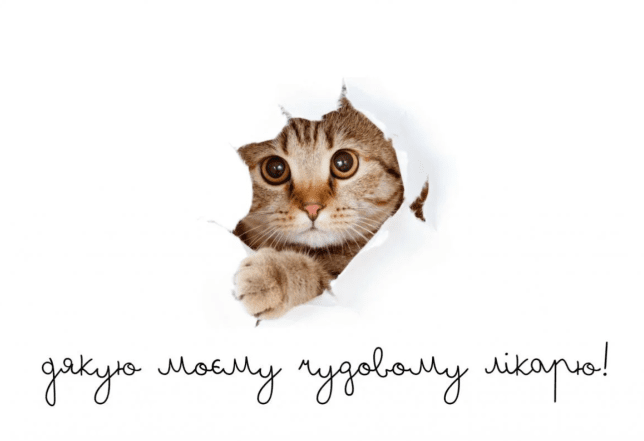 день ветеринара привітання