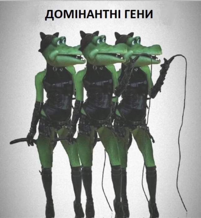 Порция юмора для бодрого дня