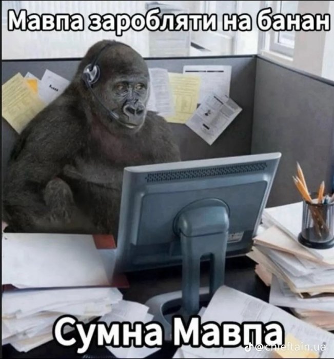 Приколы о финансах и расходах