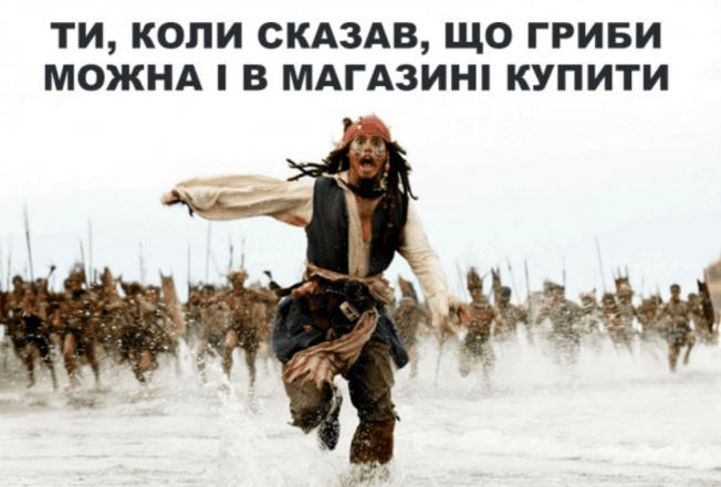 з днем грибника меми