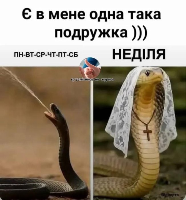 Шутки и юмор о жизни