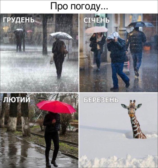 Смішні приколи та анекдоти про синоптиків українською