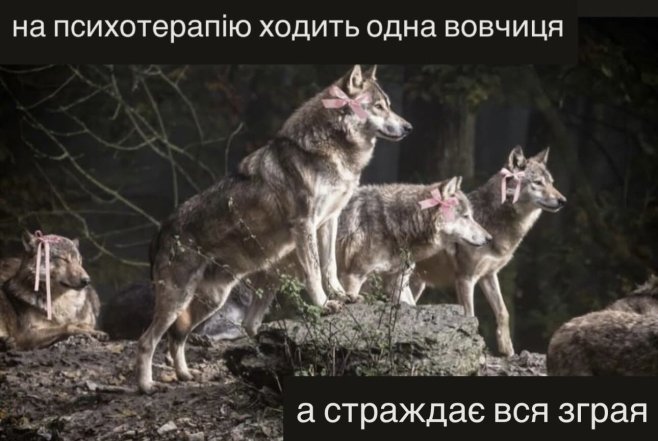 Самые смешные мемы о психотерапии