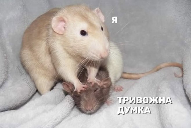 Мемы о тревожности и стрессе