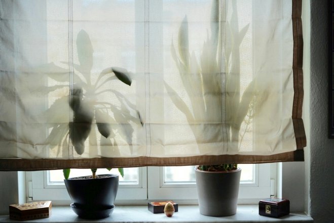 Штори на кухні