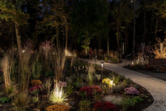 Терапевтичний сад у Києві на ВДНГ - що відомо, як виглядає