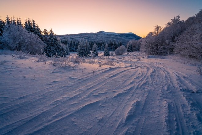 Лучшие фотографии природы в снегу