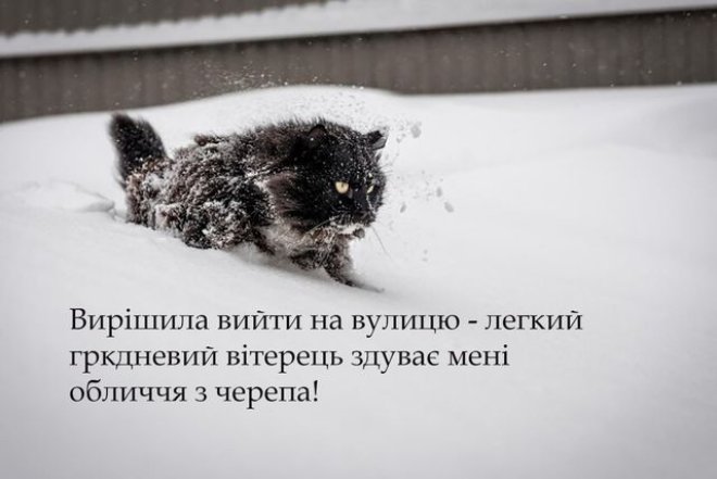 Жарти і меми про зимову пору