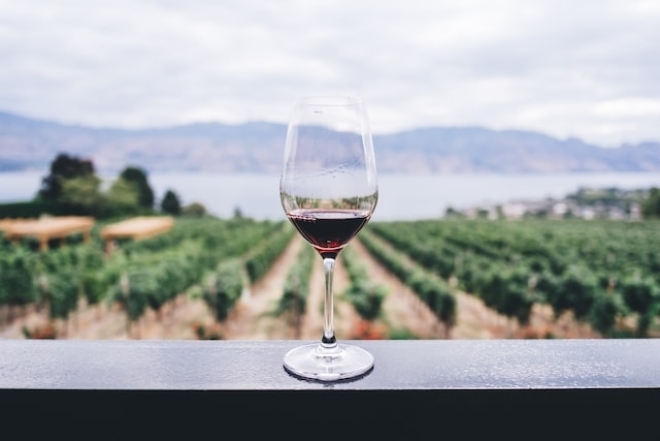 Культура споживання вина