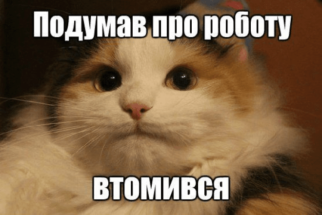 Лучшие анекдоты и мемы о безработных