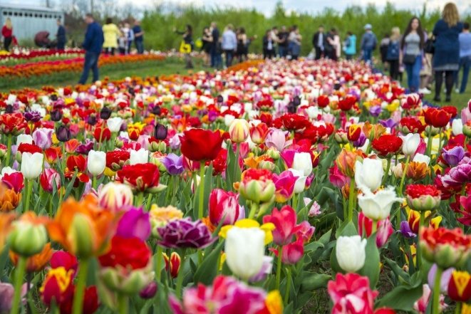 Куди поїхати навесні 2026 в Україні