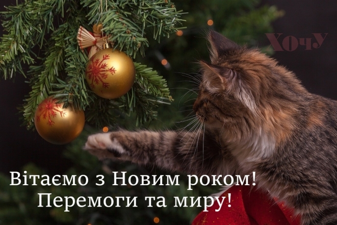 Коллеги мои дорогие! С Новым 2024 годом вас! Искренние поздравления и праздничные открытки — на украинском языке - фото №1