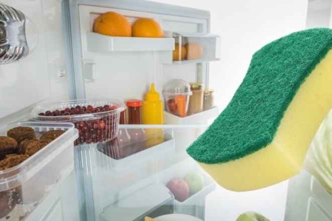 Для чого класти губку у холодильник: відповідь вас точно здивує - фото №1