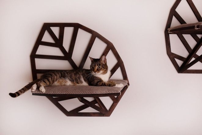 Коты — украшение интерьера: нестандартные варианты мебели для людей и животных (ФОТО) - фото №12