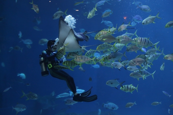 Всесвітній день океанів: підводні ріки, водоспади та інші таємниці водних глибин (ФОТО) - фото №5