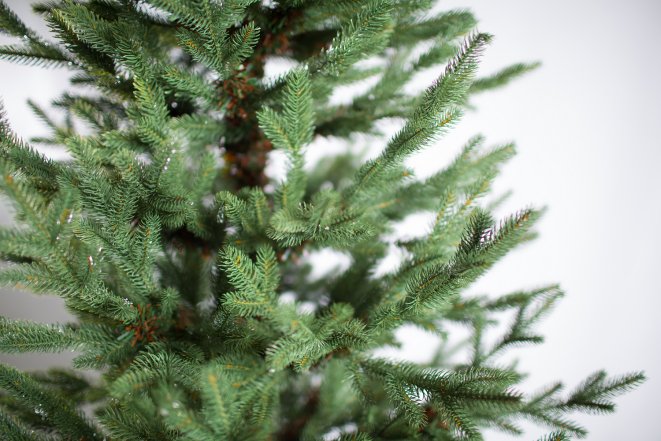 какое дерево выбрать на новый год