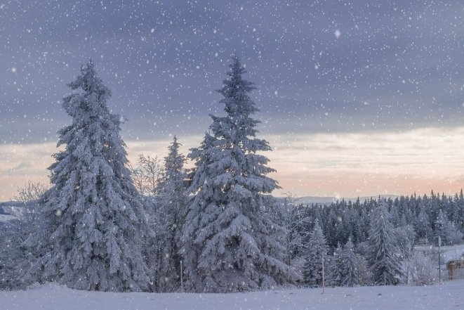 Лучшие фотографии со снегом по случаю Всемирного дня снега