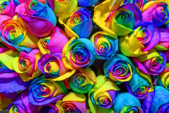 Какие цветы самые редкие в мире