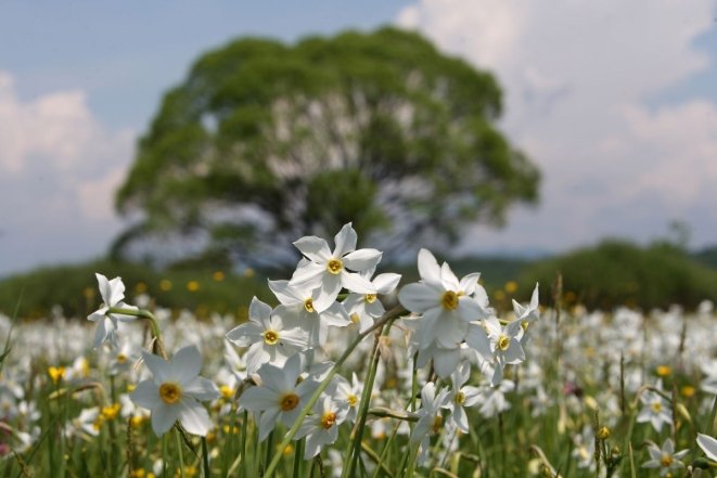 Куди поїхати навесні 2026 в Україні