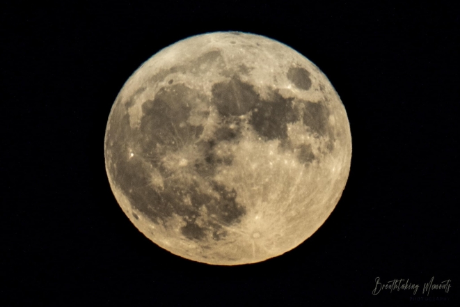 Неймовірний Блакитний Місяць бачили цієї ночі у різних куточках Землі: видовище дійсно вражаюче! (ФОТО) - фото №1