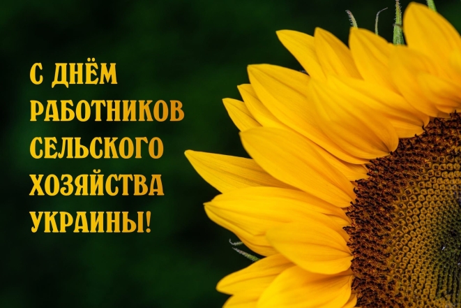 День работников сельского хозяйства украины поздравления