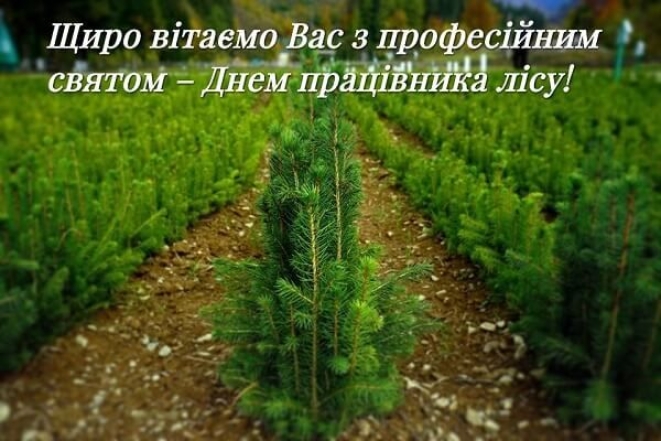 Віршовані вітання з Днем працівників лісу