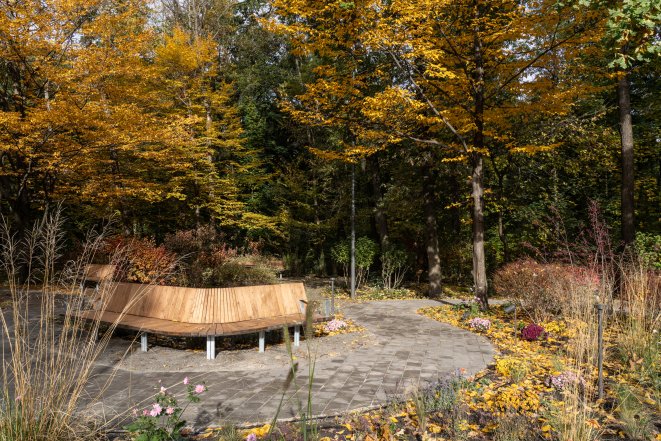 Терапевтичний сад у Києві на ВДНГ - що відомо, як виглядає