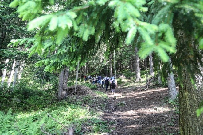 Отдых в Карпатах - туристический поход в лес.