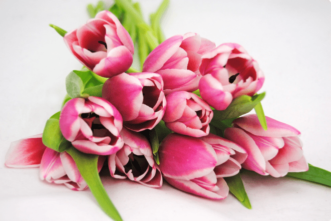 Букет тюльпанов, фото