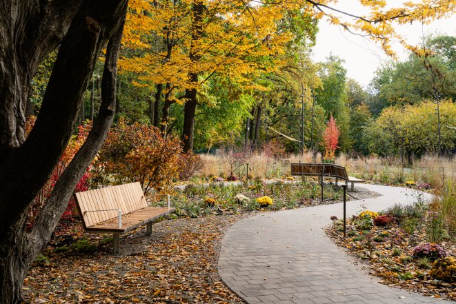 Терапевтичний сад у Києві на ВДНГ - що відомо, як виглядає