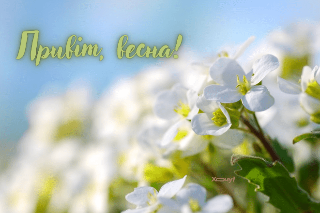 Листівки з першим днем весни