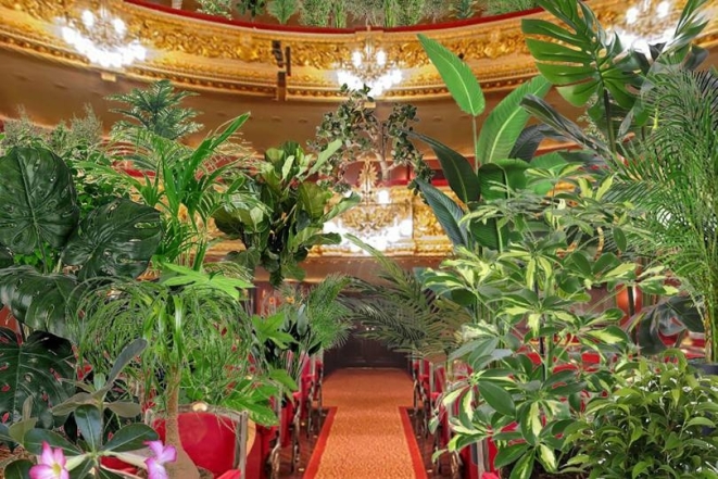 Оперный театр в Барселоне дал концерт для комнатных растений (ВИДЕО+ФОТО) - фото №1