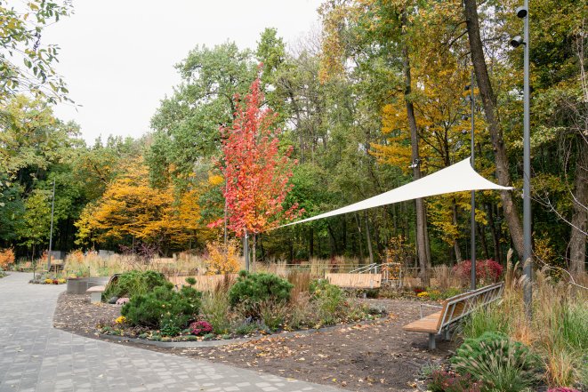 Терапевтичний сад у Києві на ВДНГ - що відомо, як виглядає