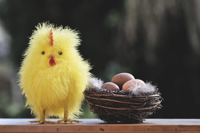 Декоративне курчатко і гніздечко з яйцями, фото