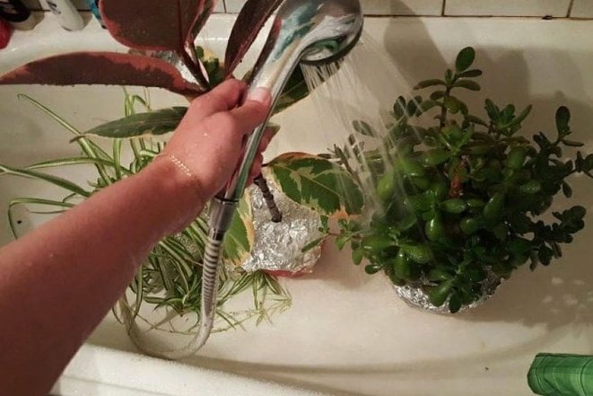 Літні спогади з дитинства — фото про те, що тримали у ванній наші батьки