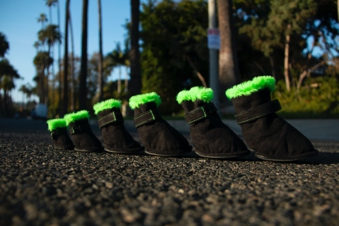 Самая милая коллекция 2020 года: UGG выпустили обувь для домашних питомцев (ФОТО) - фото №3