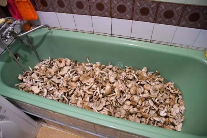 Літні спогади з дитинства — фото про те, що тримали у ванній наші батьки