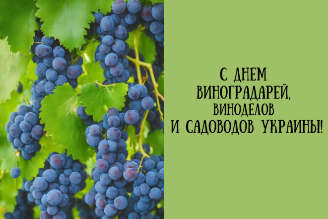 с днем виноградарей, виноделов и садоводов Украины поздравления