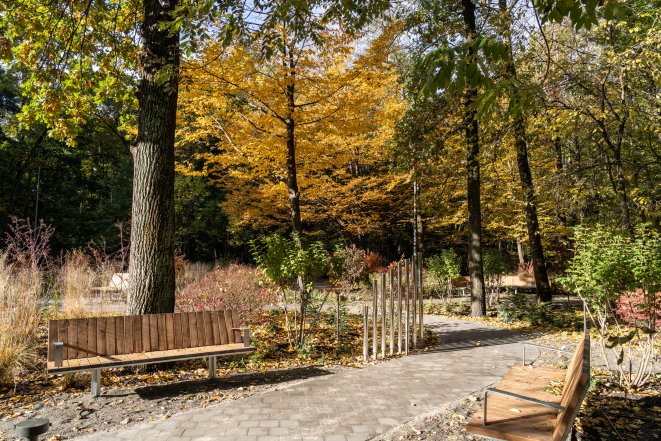 Терапевтичний сад у Києві на ВДНГ - що відомо, як виглядає