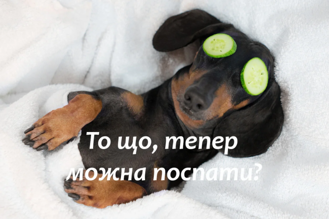 Приколи про останній дзвінок